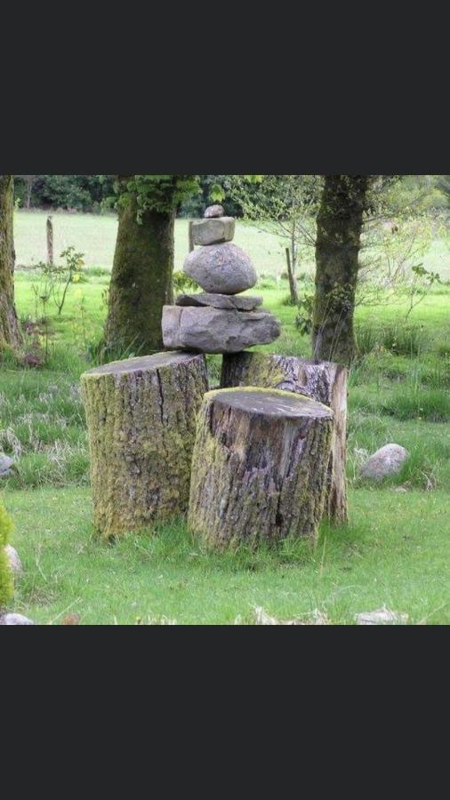 Hafan Y Coed - Haven Of Trees Bed & Breakfast Abercraf Exterior photo